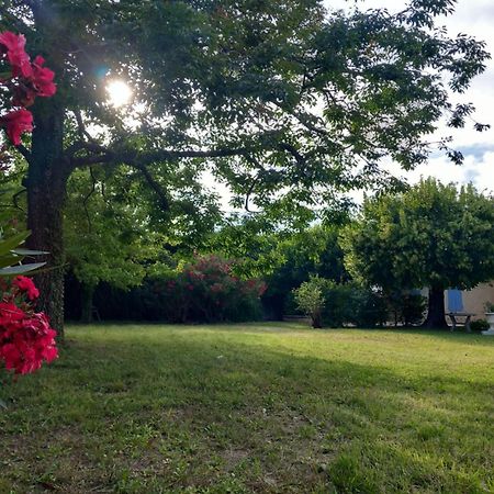 Вилла Le Petit Mas Des Alpilles En Provence Сент-Этьен-дю-Грес Экстерьер фото