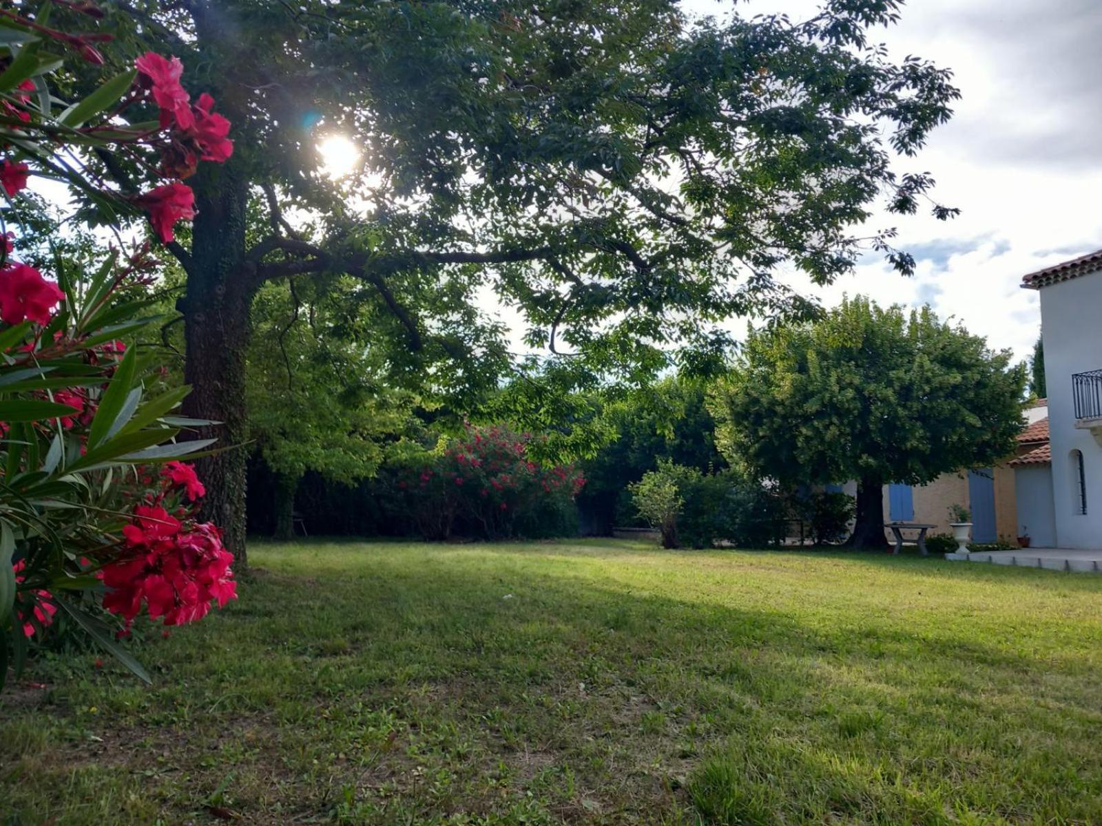 Вилла Le Petit Mas Des Alpilles En Provence Сент-Этьен-дю-Грес Экстерьер фото